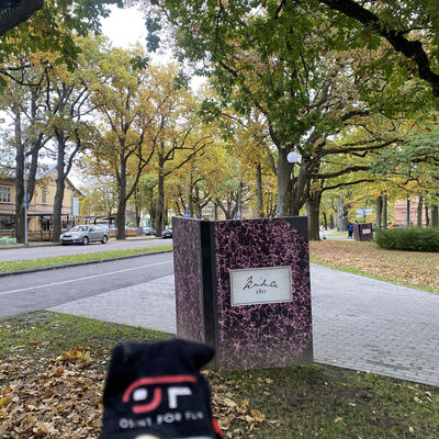 Challenge Illustration