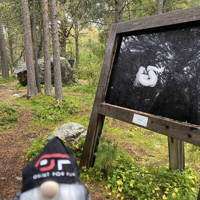 Challenge Illustration