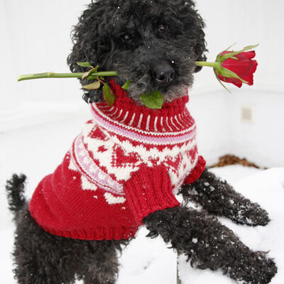 Challenge Illustration