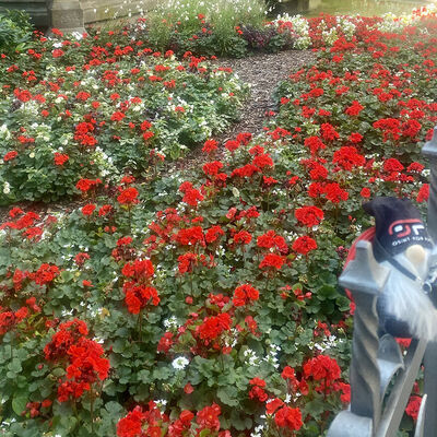 Challenge Illustration